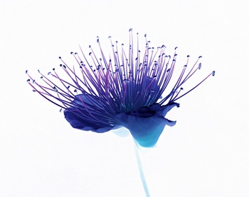 F 010B